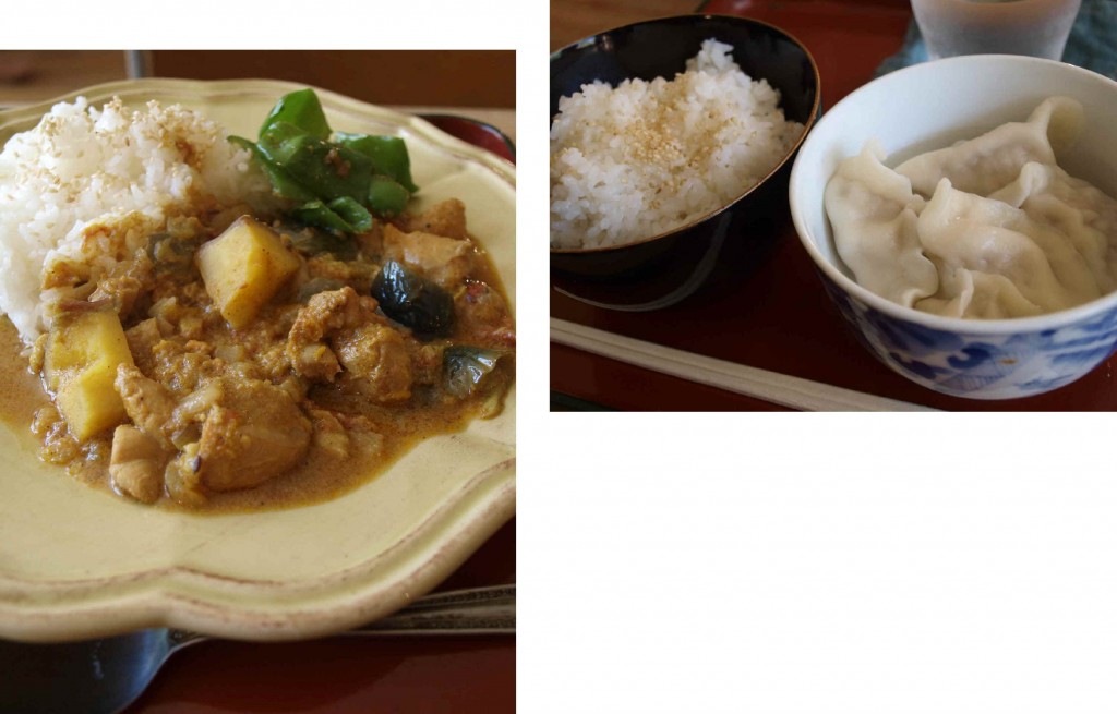 Gyoza and curry